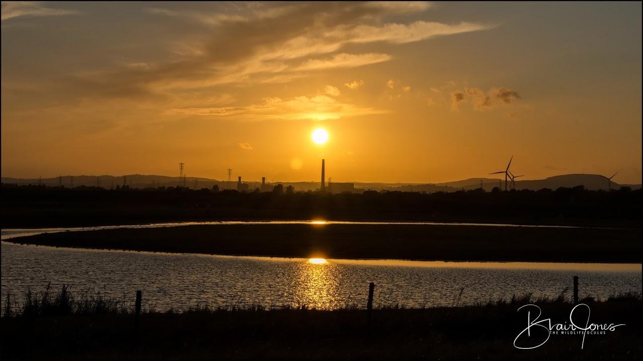 Monk's lagoon at Goldcliff